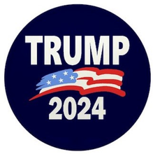 Load image into Gallery viewer, Pistol Display Stand Handgun Stand Clear Acrylic Rubber Tipped - Trump 2024 Domed Decal…
